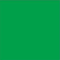 Ü.Filclapok A/4 1mm Közép Zöld 10db/csomag